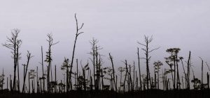 042425-12-Climate-Environment