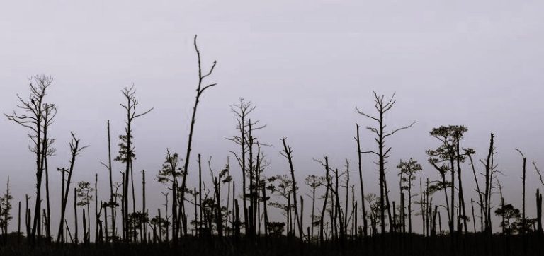 042425-12-Climate-Environment