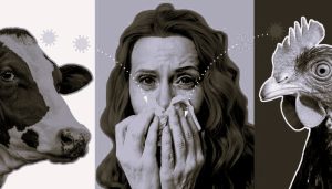 What Led to the Bird Flu Outbreak? 28 042725-01-Disease-Health