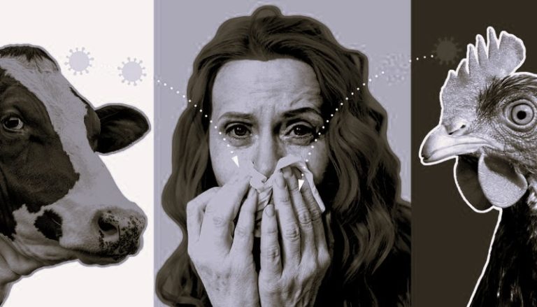 042725-01-Disease-Health