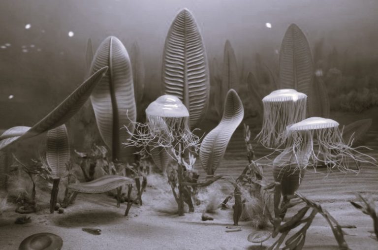 Oceanic Biology and Geology from the Precambrian to the Cenozoic Periods 20 PrehistoricOcean01