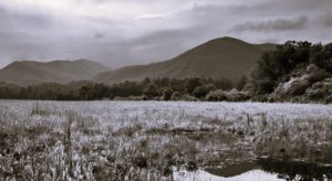 How to Make the Most of Your Visit to the Great Smoky Mountains 30 SmokyMountains-CarlaAdams02