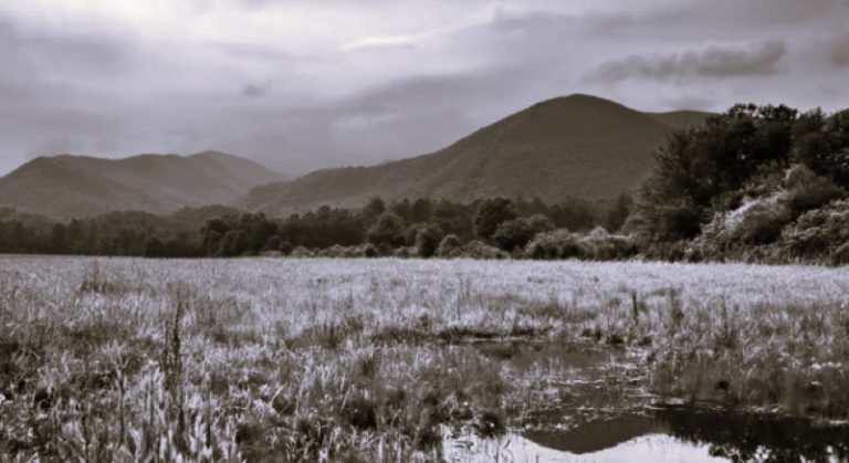 SmokyMountains-CarlaAdams02