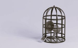 A Concerning Sharp Decline among Young Americans in Support for Free Speech 13 052125-06-Politics