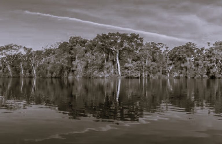 052125-34-Climate-Environment