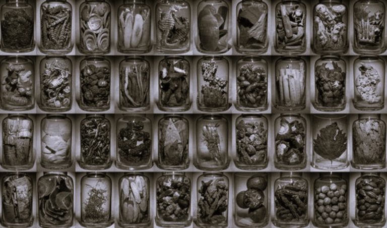 052625-08-History-Medicine