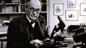 Lab to Lifesaver: How John Franklin Enders Became the Father of Modern Vaccines 23 052625-23-Disease-Medicine