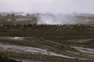 More Than 95 Percent of Gaza's Agricultural Land Is Unusable 18 052725-04-Agriculture-Palestine