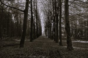 LivingTribute-ClickIntelligence02