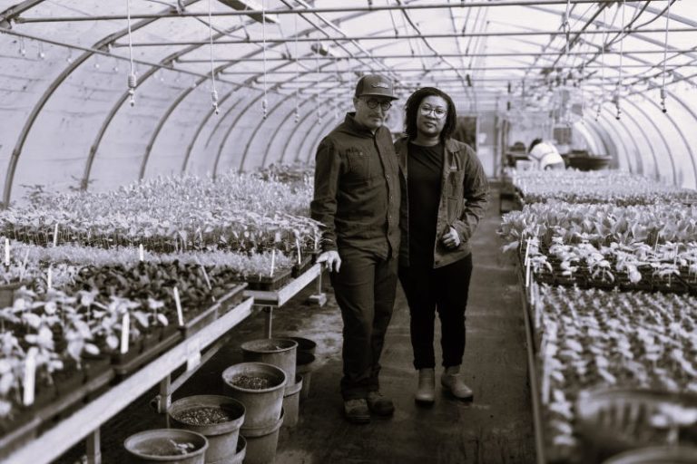 Trump Is Ending Assistance for Farmers Helping Food Pantries 22 060725-24-Agriculture