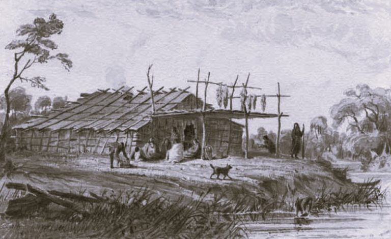 Maize Matters: The Sioux Story of the Gift of Corn 13 SiouxGiftCorn01