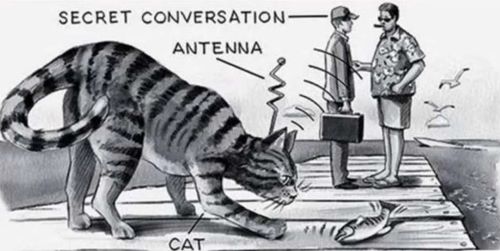Gears of Deceit: Technology, Illusion, and Machinery in the Modern Age 15 CIA "Acoustic Kitty" illustration