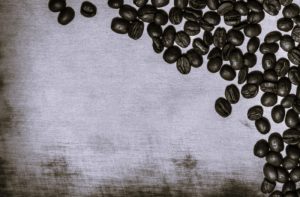 BrazilianBeans-TamaraSarg01