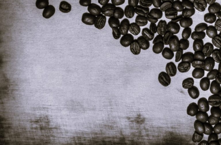 6 Reasons Why Coffee Lovers Are Turning to Naturally Processed Brazilian Beans: Exploring the Unique Benefits and Flavors 16 BrazilianBeans-TamaraSarg01