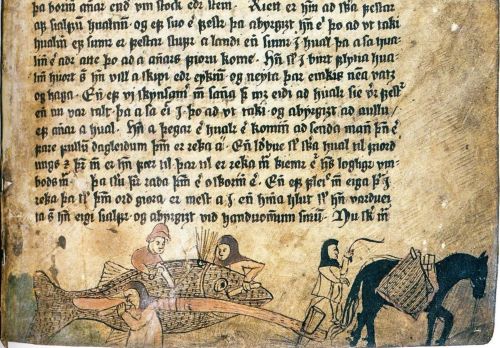 Medieval Blues: How Viking-Age Hunters Pursued the Biggest Animal on Earth 16 Illumination from a 16th-century Icelandic manuscript, showing people processing a rather fishlike whale