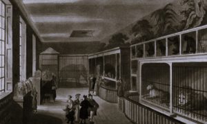 The Exotic Animal Trade and the Invention of the Global Zoo, 1700–1900 14 080325-01-Animals-History