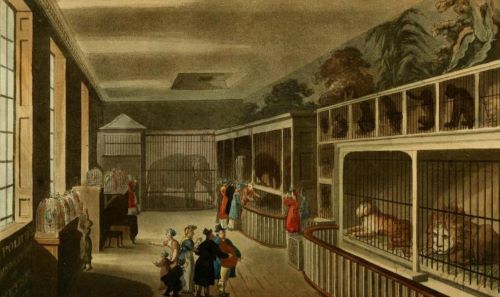 The Exotic Animal Trade and the Invention of the Global Zoo, 1700–1900 10 Polito's Royal Menagerie, Exeter 'Change, Strand. Ackermann's Repository