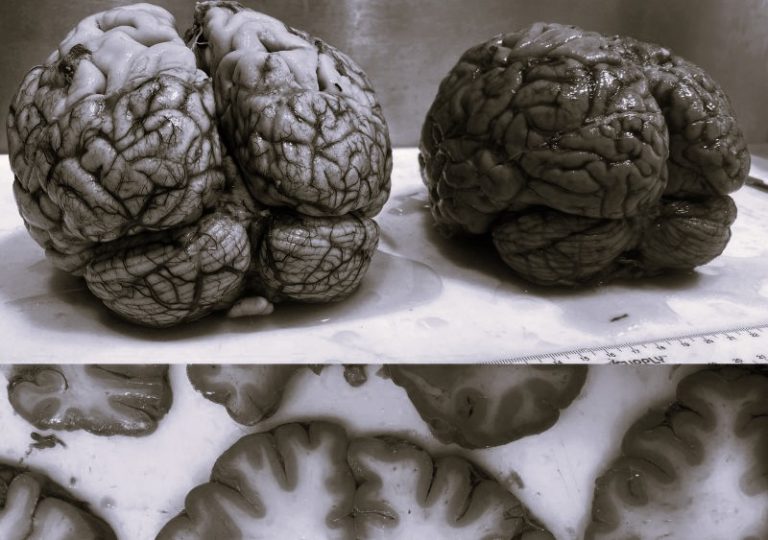 081125-13-Health-Nutrition