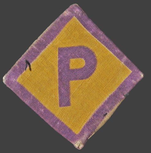Labor and Camps: Immigrants in Nazi Germany and the Machinery of Exclusion 5 A badge designating a Polish worker in a concentration camp