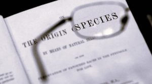 Myths of Doubt: The Persistence of Anti-Evolutionary Arguments in Historical Perspective 9 082425-22-Biology-Evolution