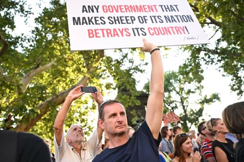 The Allure of Thrones and Boards: America’s Drift Toward Authoritarian Fantasies 2 Protester holding a sign
