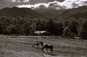 Affordable Smokies Getaway: Budget Tips & Tricks 10 AffordableGetaway-CarlaAdams02