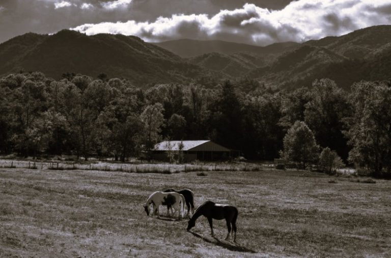 Affordable Smokies Getaway: Budget Tips & Tricks 11 AffordableGetaway-CarlaAdams02