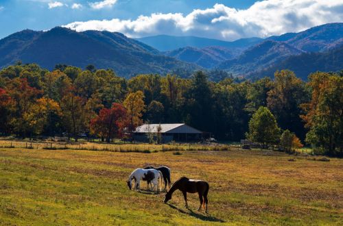 Affordable Smokies Getaway: Budget Tips & Tricks 2 Affordable Smokies Getaway: Budget Tips & Tricks
