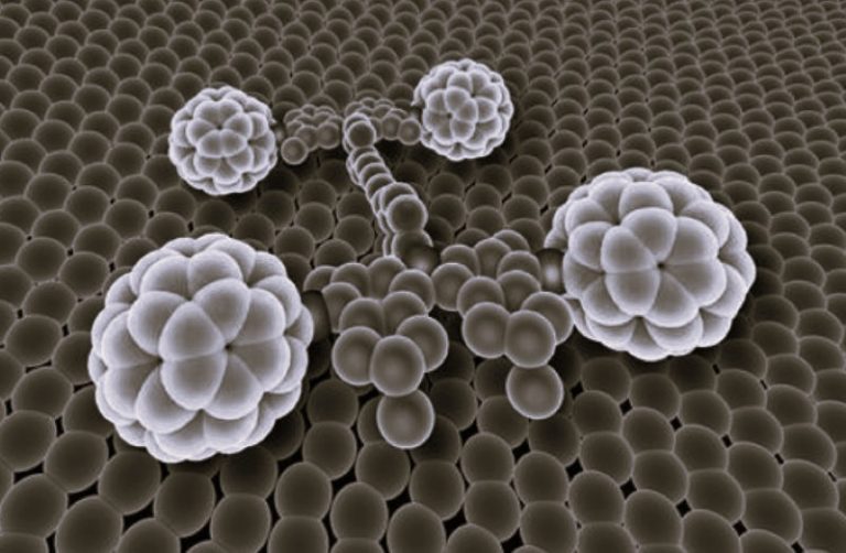 Nanoarchitectonics in Construction: Building a Sustainable Future at the Atomic Scale 18 090725-23-Science