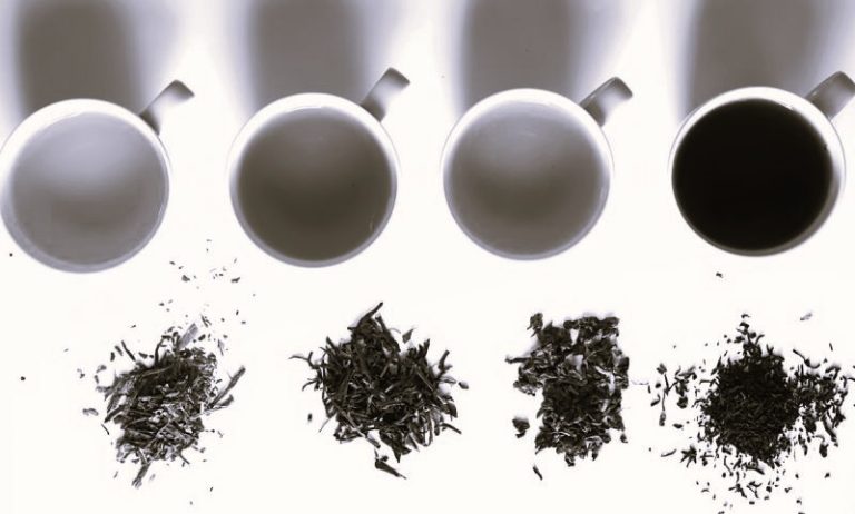 Steeping in Change: How Climate Shifts Are Reshaping the World of Tea 8 090725-31-Climate-Tea