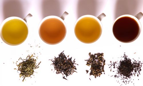 Steeping in Change: How Climate Shifts Are Reshaping the World of Tea 2 Steeping in Change: How Climate Shifts Are Reshaping the World of Tea