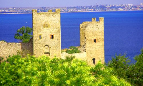 When Disease became a Weapon: Plague and Warfare in the Medieval World 5 When Disease became a Weapon: Plague and Warfare in the Medieval World