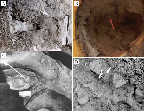 From Stones to Rivers: The Earliest Peoples of Venezuela 4 From Stones to Rivers: The Earliest Peoples of Venezuela