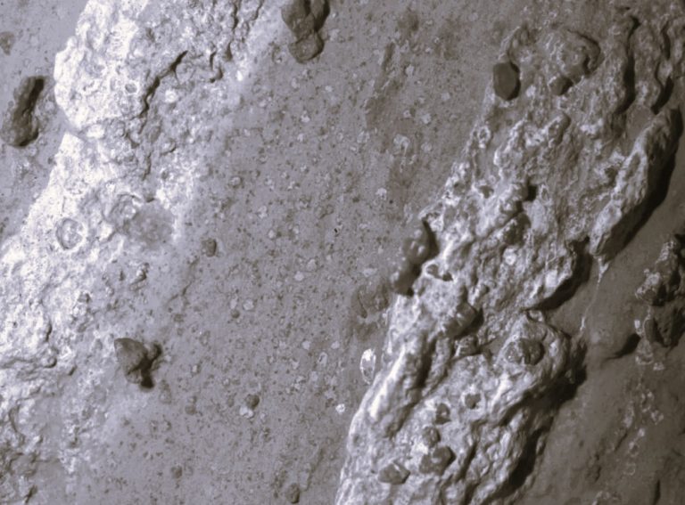 A Fragile Signal on a Silent Planet: Reading the Martian Rocks for Traces of Life 15 091825-18-History-Science