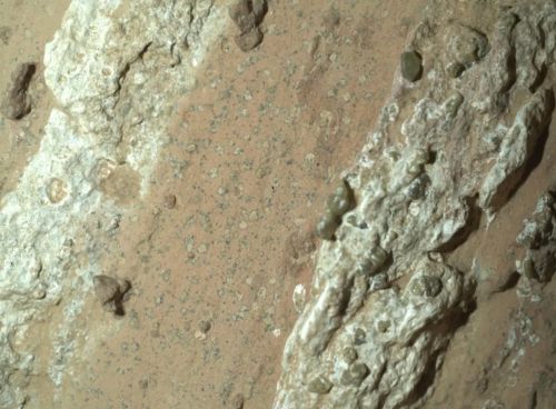 A Fragile Signal on a Silent Planet: Reading the Martian Rocks for Traces of Life 2 A Fragile Signal on a Silent Planet: Reading the Martian Rocks for Traces of Life
