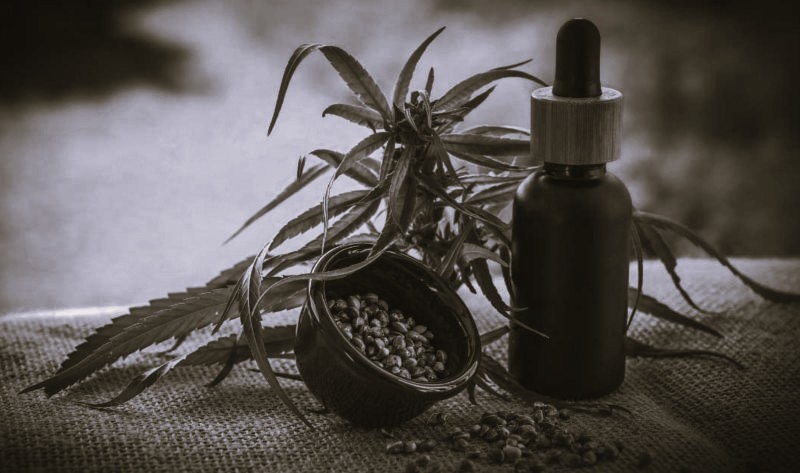 The Basics of Customizing Cannabis Treatment in Orlando