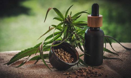 The Basics of Customizing Cannabis Treatment in Orlando 2 The Basics of Customizing Cannabis Treatment in Orlando