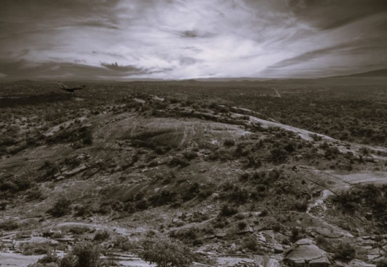 BeginJourneys-CarlaAdams02