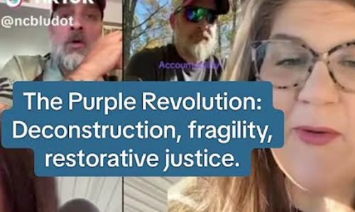 “Purple Revolution”: Fatigue, Accountability, and the Unrealist Hope for Easy Redemption 2 “Purple Revolution”: Fatigue, Accountability, and the Unrealist Hope for Easy Redemption