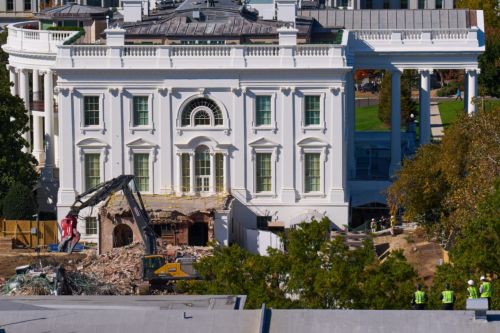 Leopold II and Donald Trump: Architecture, Power, and the Politics of Memory