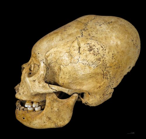 Inscribed in Flesh: The Cultural Meanings of Ancient Body Modification