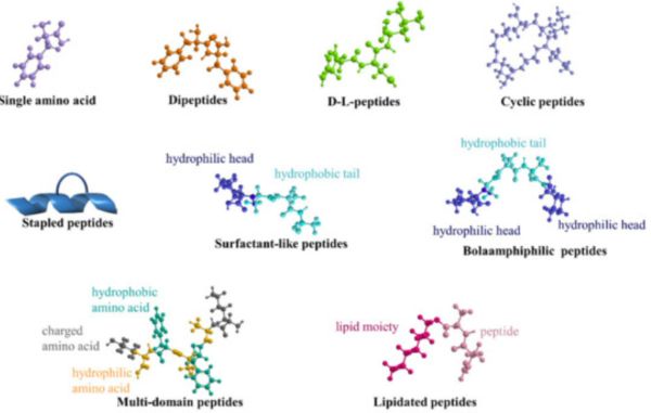Peptide Stacking and the Wellness Craze: The Risk of Unregulated and Unproven Injections 6 Peptide Stacking and the Wellness Craze: The Risk of Unregulated and Unproven Injections