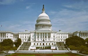 BLLCNOV002-HannahGilbert02