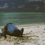 120325-07-Climate-Environment