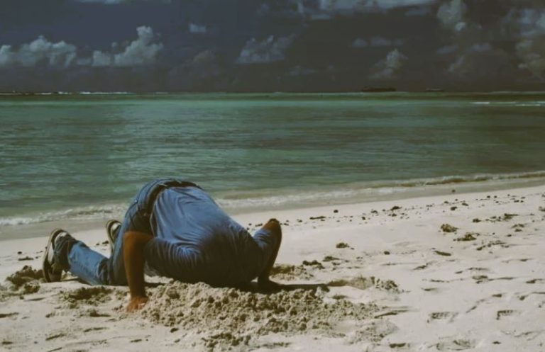 The Climate Emergency Meets a Wall of Political Denial 12 120325-07-Climate-Environment