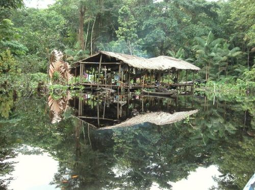 Indigenous Peoples of Venezuela: History, Survival, and Cultural Continuity