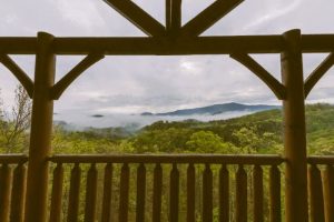 TravelPlans-CarlaAdams01