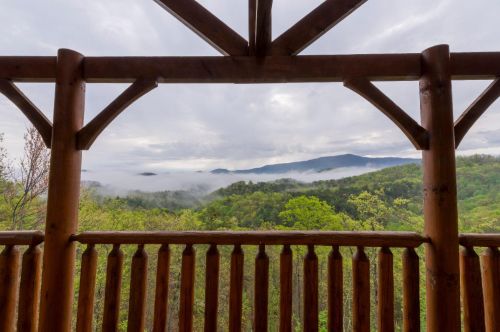 Nature-Focused Travel Plans Built Around Calm Surroundings