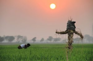 AgriculturalOperations-DanielKing02