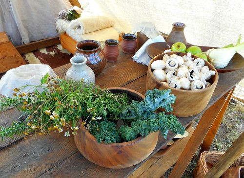 What Medieval Midwives Knew: Time-Tested Herbs Making a Comeback
